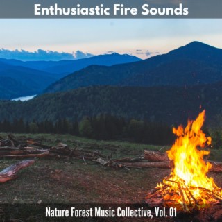 Enthusiastic Fire Sounds - Nature Forest Music Collective, Vol. 01