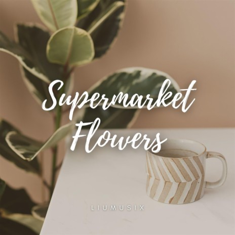 Supermarket Flowers (Acoustic Guitar Fingerstyle)
