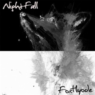 Night Fall