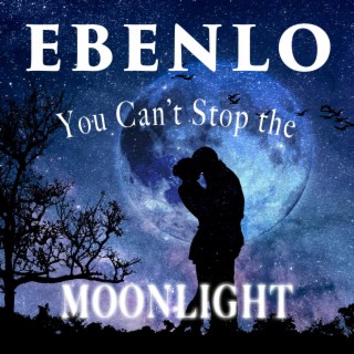 You Can't Stop The Moonlight lyrics | Boomplay Music