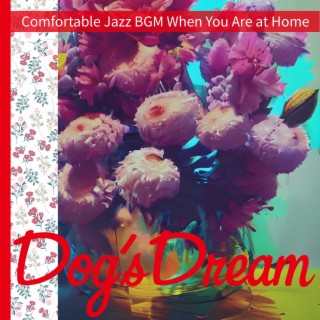 Comfortable Jazz BGM When You Are at Home
