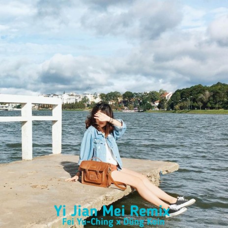 Yi Jian Mei (Remix) ft. Fei Yu-Ching | Boomplay Music
