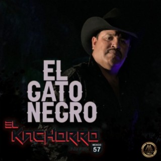 El Gato Negro