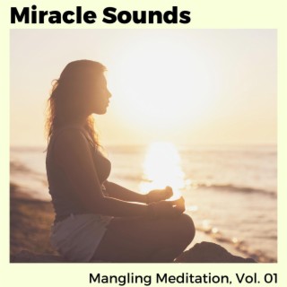 Miracle Sounds - Mangling Meditation, Vol. 01