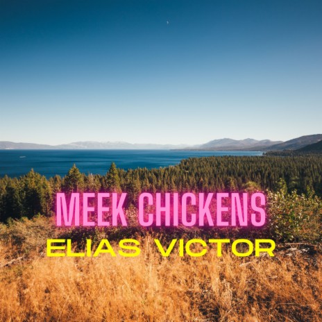 Meek Chickens | Boomplay Music