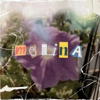 Molina lyrics | Boomplay Music