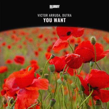 You Want (Extended Mix) ft. Dutra