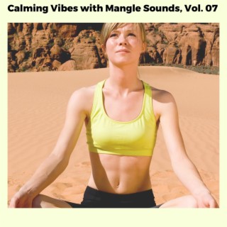 Calming Vibes with Mangle Sounds, Vol. 07