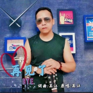 再见了 lyrics | Boomplay Music