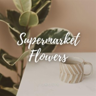 Supermarket Flowers (Acoustic Guitar Fingerstyle) lyrics | Boomplay Music