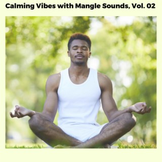 Calming Vibes with Mangle Sounds, Vol. 02