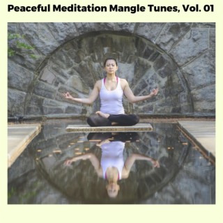 Peaceful Meditation Mangle Tunes, Vol. 01