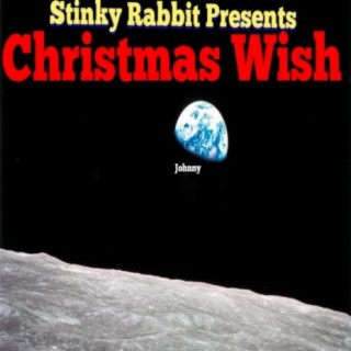 Stinky Rabbit Presents Christmas Wish