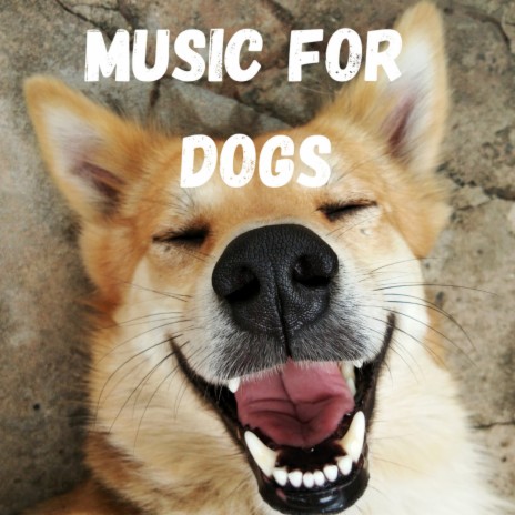 Puppy Calm ft. Music For Dogs Peace, Calm Pets Music Academy & Relaxing Puppy Music