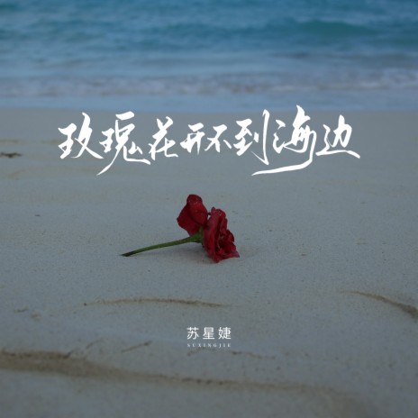 玫瑰花开不到海边 | Boomplay Music