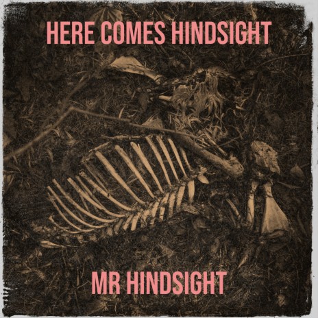 Here Comes Hindsight | Boomplay Music