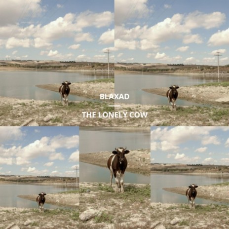 The Lonely Cow | Boomplay Music