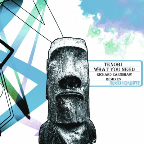 What You Need (Richard Earnshaw Revision) | Boomplay Music