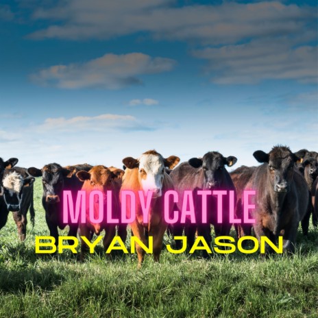 Moldy Cattle | Boomplay Music