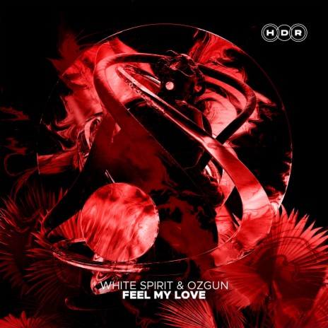 Feel My Love (Extended Mix) ft. Ozgun | Boomplay Music