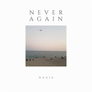 Never Again lyrics | Boomplay Music