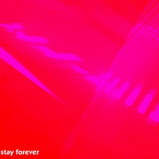 stay forever