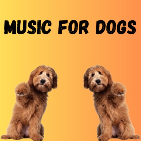 Anti Stree Music ft. Music For Dogs Peace, Relaxing Puppy Music & Calm Pets Music Academy | Boomplay Music