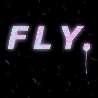 Fly