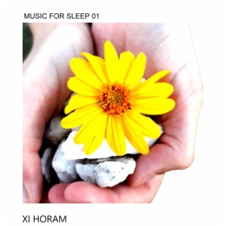 Music for sleep 01