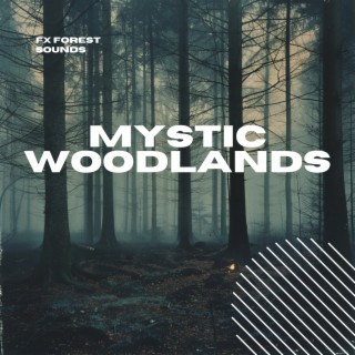 Mystic Woodlands: Serene Forest Melodies