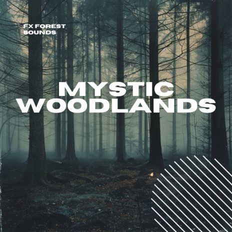 Woodland Sleeping | Boomplay Music