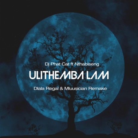 Ulithemba lam (Remake) ft. Nthabiseng