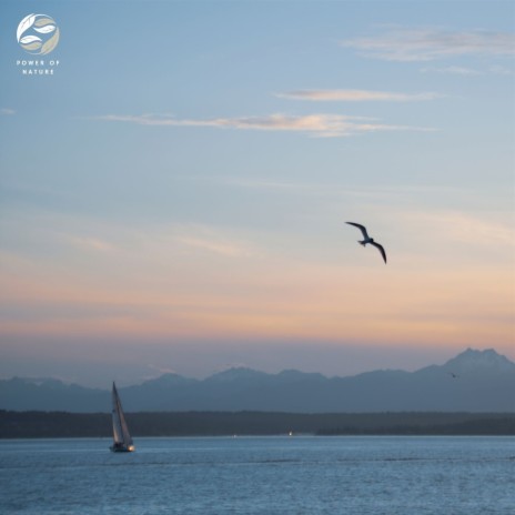 Birdsong Rhapsody on the Piano ft. Mother Nature Ambience & Zambezi Sounds