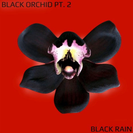 Black Orchid Pt. 2 | Boomplay Music