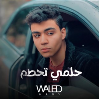 Waleed Hany