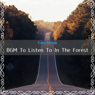 BGM To Listen To In The Forest