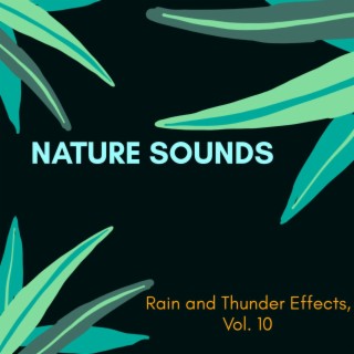 Nature Sounds - Rain and Thunder Effects, Vol. 10
