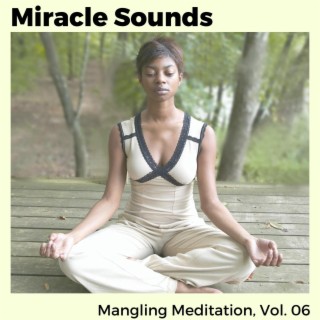 Miracle Sounds - Mangling Meditation, Vol. 06