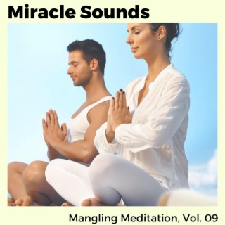 Miracle Sounds - Mangling Meditation, Vol. 09