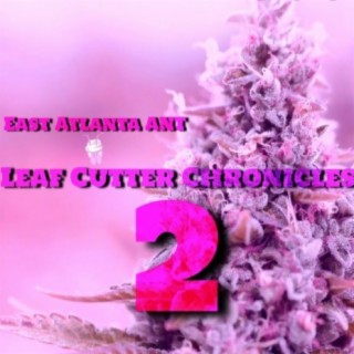 Leaf Cutter Chronicles 2