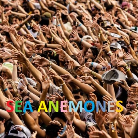 Sea Anemones | Boomplay Music