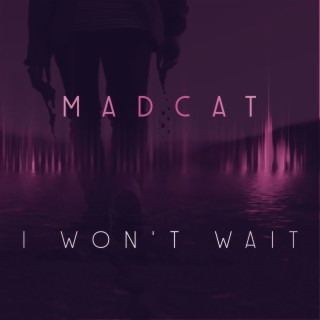 I Won't Wait