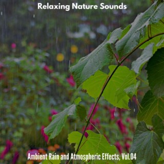Relaxing Nature Sounds - Ambient Rain and Atmospheric Effects, Vol.04