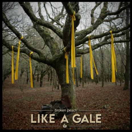 Like A Gale | Boomplay Music