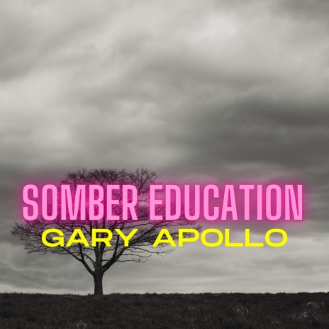 Somber Education | Boomplay Music