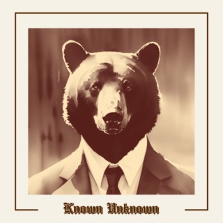 Known Unknown