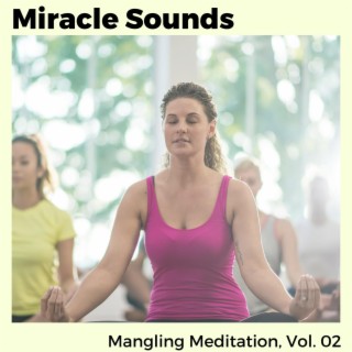Miracle Sounds - Mangling Meditation, Vol. 02