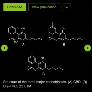 CBD (THC Remix)