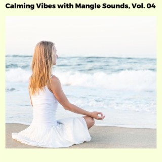 Calming Vibes with Mangle Sounds, Vol. 04