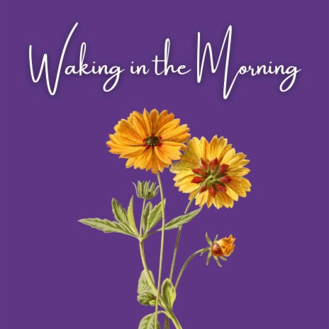 Waking in the Morning | Boomplay Music